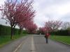 img_4653_t1.jpg